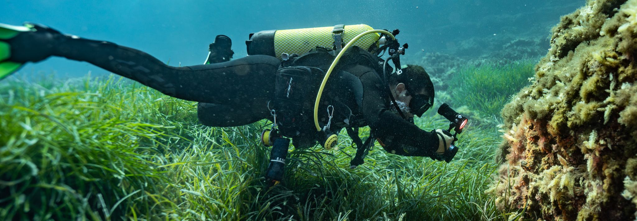TAUCHEN AUF MALLORCA